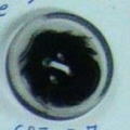 CPI0217