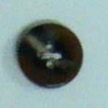 CPI0221