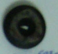 CPI0255