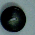 CPI0379