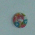 CPI0406