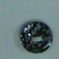 CPI0419
