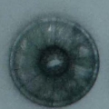 CPI0433