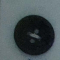 CPI0445
