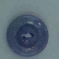 CPI0455