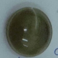 CPI0459