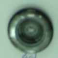 CPI0482