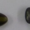 CPI0557