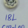 CPI0600