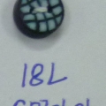 CPI0601
