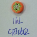 CPI0602