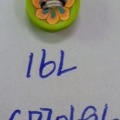 CPI0696