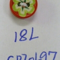 CPI0697