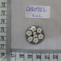 CPI0786
