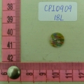 CPI0909