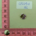 CPI0910