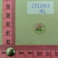 CPI0913