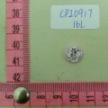 CPI0917