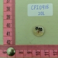 CPI0918