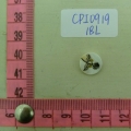 CPI0919