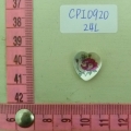 CPI0920