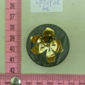 CPI0925