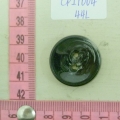 CPI1004