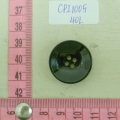 CPI1005