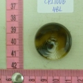 CPI1006