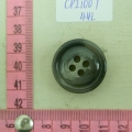 CPI1007
