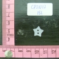 CPI1012