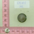 CPI1017