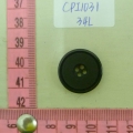 CPI1031