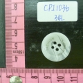 CPI1036