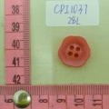 CPI1037