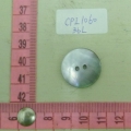 CPI1060