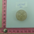 CPI1065