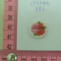 CPI1066