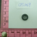 CPI1069