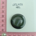 CPI1073