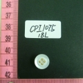 CPI1075