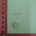 CPI1077