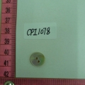 CPI1078