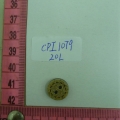 CPI1079