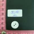 CPI1081