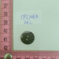CPI1083