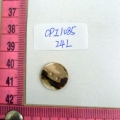 CPI1085