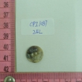 CPI1087