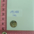 CPI1088