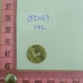 CPI1089